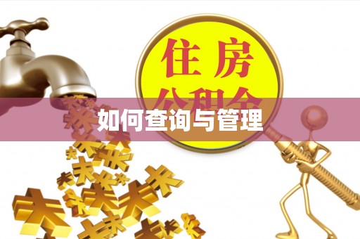 普洱如何查询与管理