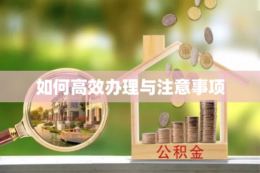普洱如何高效办理与注意事项