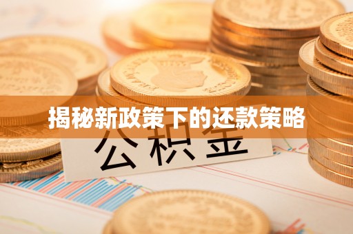 普洱揭秘新政策下的还款策略