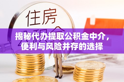 普洱揭秘代办提取公积金中介，便利与风险并存的选择