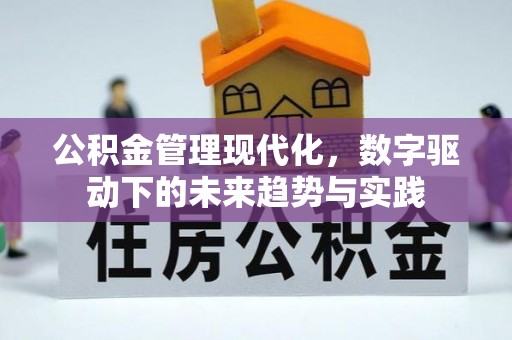 普洱公积金管理现代化，数字驱动下的未来趋势与实践