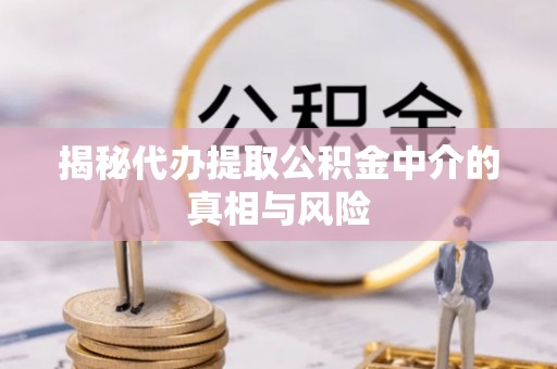 普洱揭秘代办提取公积金中介的真相与风险