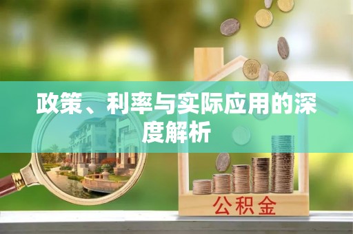 普洱政策、利率与实际应用的深度解析