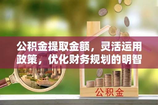 普洱公积金提取金额，灵活运用政策，优化财务规划的明智选择