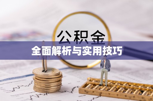 普洱全面解析与实用技巧