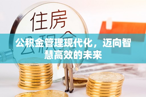 普洱公积金管理现代化，迈向智慧高效的未来