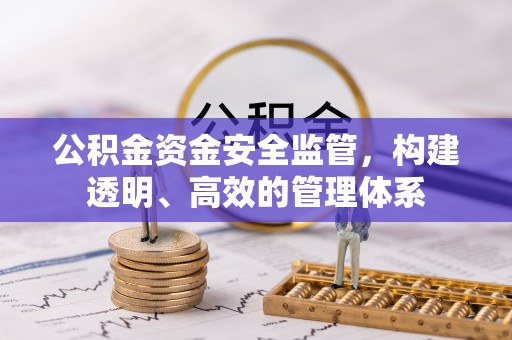 普洱公积金资金安全监管，构建透明、高效的管理体系