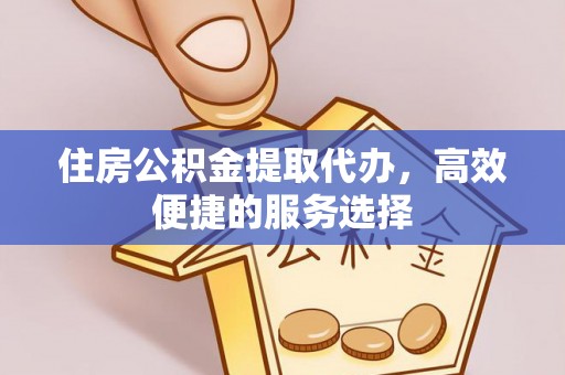 普洱住房公积金提取代办，高效便捷的服务选择