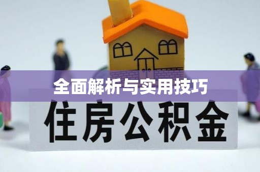 普洱全面解析与实用技巧