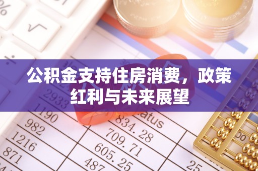 普洱公积金支持住房消费，政策红利与未来展望