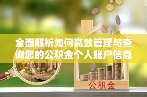 普洱全面解析如何高效管理与查询您的公积金个人账户信息