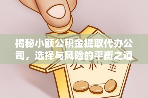 普洱揭秘小额公积金提取代办公司，选择与风险的平衡之道