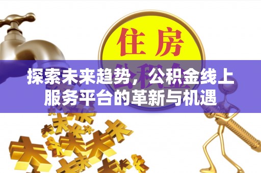 普洱探索未来趋势，公积金线上服务平台的革新与机遇