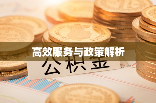 普洱高效服务与政策解析