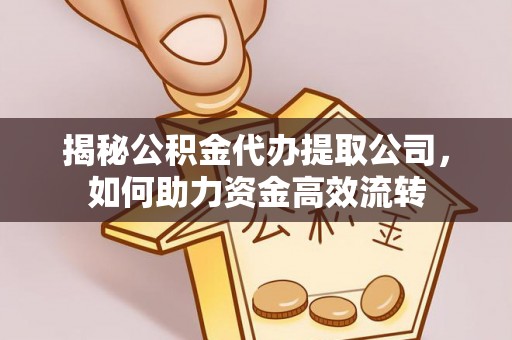 普洱揭秘公积金代办提取公司，如何助力资金高效流转