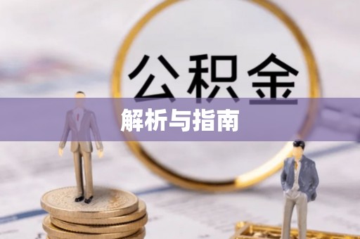 普洱解析与指南
