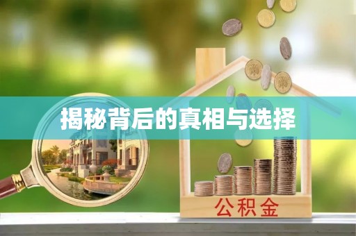 普洱揭秘背后的真相与选择