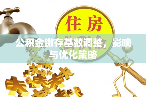 普洱公积金缴存基数调整，影响与优化策略