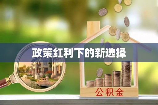 普洱政策红利下的新选择