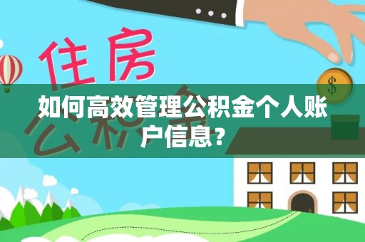 普洱如何高效管理公积金个人账户信息？