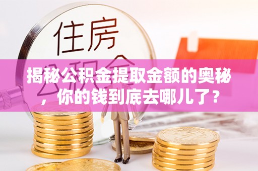 普洱揭秘公积金提取金额的奥秘，你的钱到底去哪儿了？
