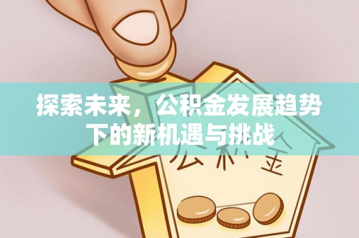 普洱探索未来，公积金发展趋势下的新机遇与挑战