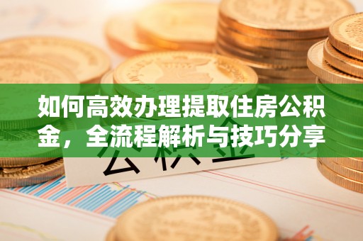 普洱如何高效办理提取住房公积金，全流程解析与技巧分享