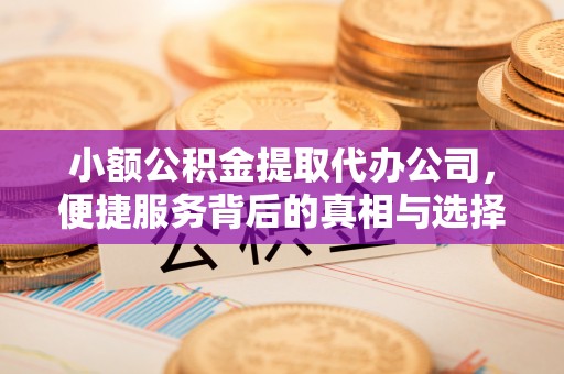 普洱小额公积金提取代办公司，便捷服务背后的真相与选择