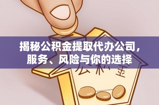 普洱揭秘公积金提取代办公司，服务、风险与你的选择