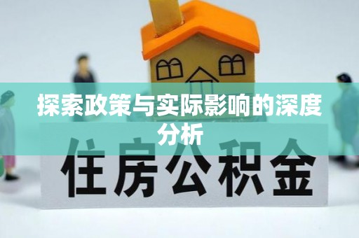 普洱探索政策与实际影响的深度分析