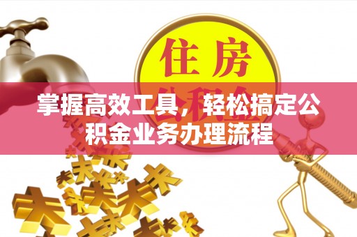 普洱掌握高效工具，轻松搞定公积金业务办理流程