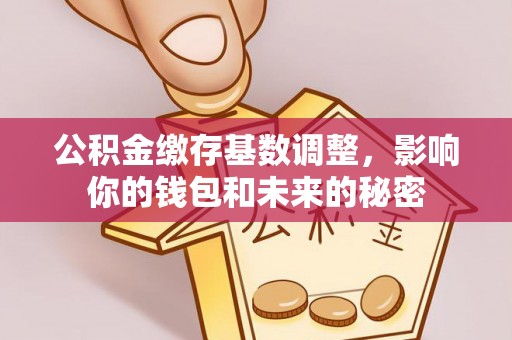 普洱公积金缴存基数调整，影响你的钱包和未来的秘密