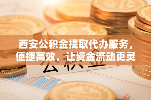 普洱西安公积金提取代办服务，便捷高效，让资金流动更灵活