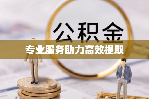 普洱专业服务助力高效提取
