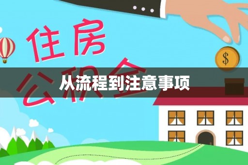 普洱从流程到注意事项