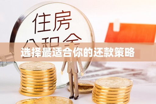 普洱选择最适合你的还款策略