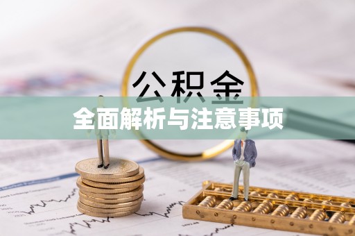 普洱全面解析与注意事项