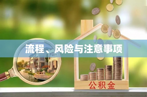 普洱流程、风险与注意事项