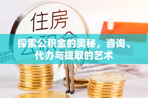 普洱探索公积金的奥秘，咨询、代办与提取的艺术